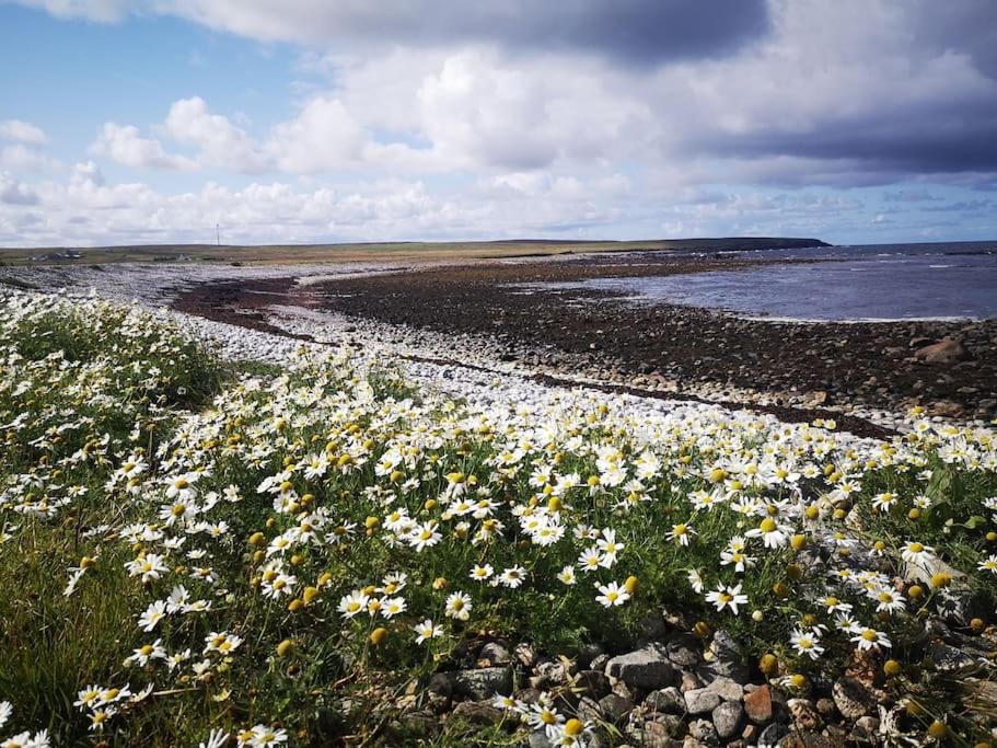Flat In Eoropie, Ness, Isle Of Lewis Apartamento